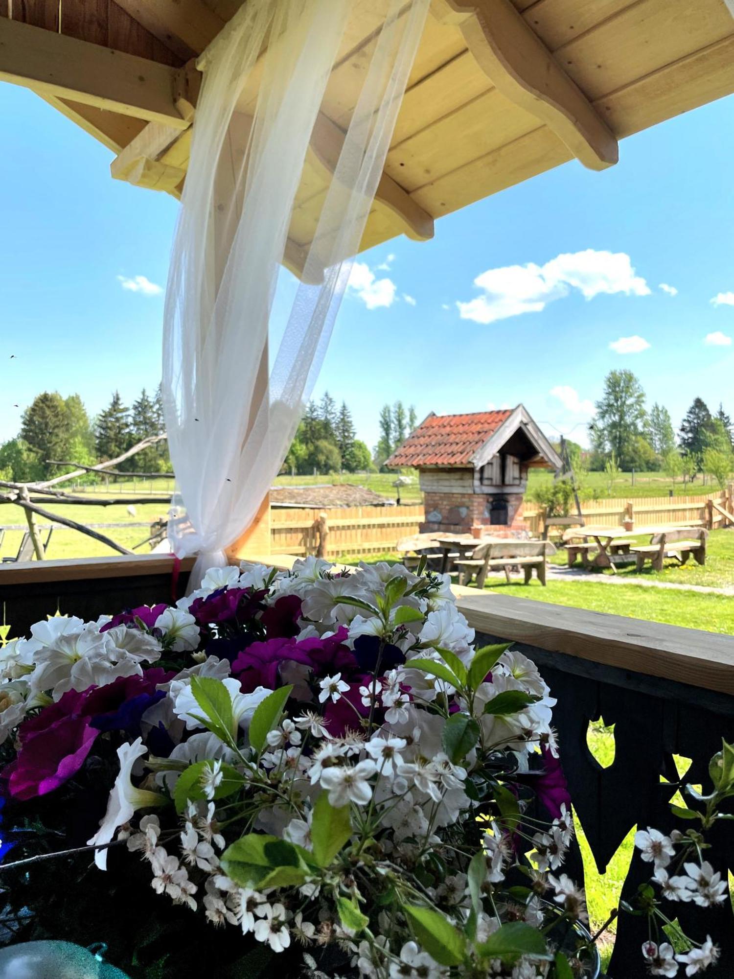 Ciche Wody Villa Budry Екстериор снимка